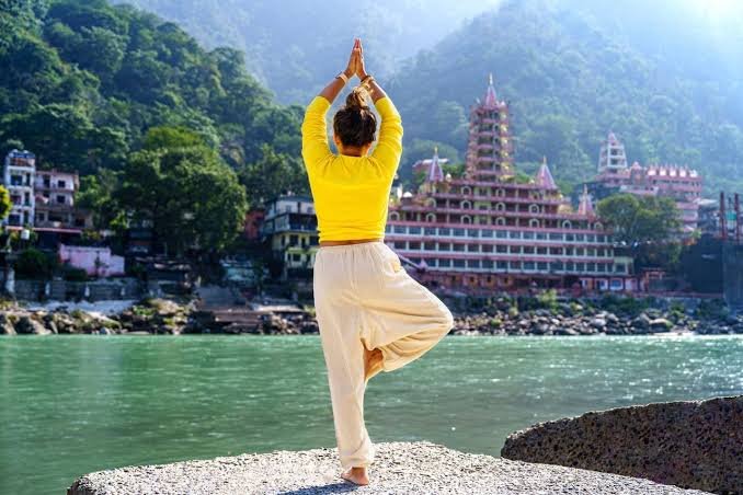 Yoga & Wellness Journey